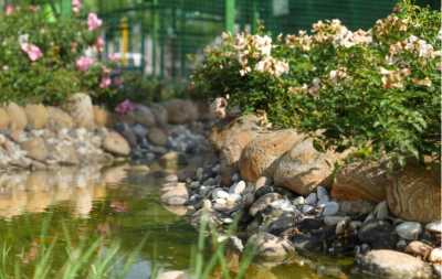 Çorlu Mini Hayvanat Bahçesi